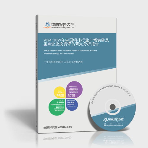 2024-2029年中國銅排行業市場供需及重點企業投資評估研究分析報告